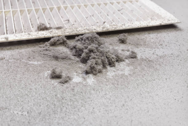 Best HVAC Air Duct Cleaning  in Piney Point Village, TX