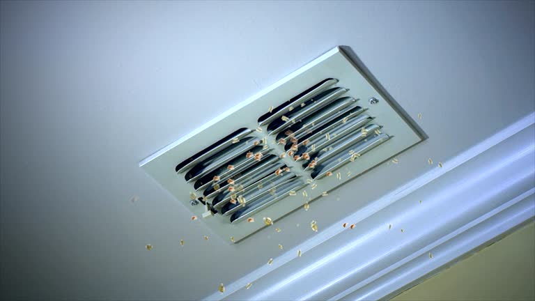 Best Residential Air Duct Cleaning  in Piney Point Village, TX